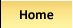 home button